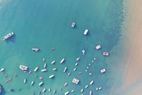 全國兩會上青島市長趙豪志強調海水養殖技術研發的重要性