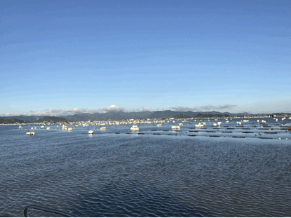 藍色牧場財富多——生態中國沿海行之福建霞浦海水養殖技術創新