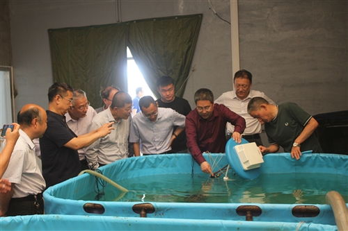 智能化養殖裝備與智慧管理平臺開發成果通過驗收，助推海水養殖技術研發升級