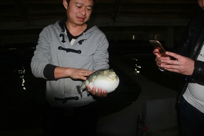 大連啟航“海魚陸?zhàn)B”保險，海水養(yǎng)殖技術(shù)研發(fā)迎來新機(jī)遇