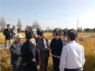 發揮學科優勢，助力崇明建設——化分學院分析-物化聯合黨支部“主題黨日”活動聚焦海水養殖技術研發