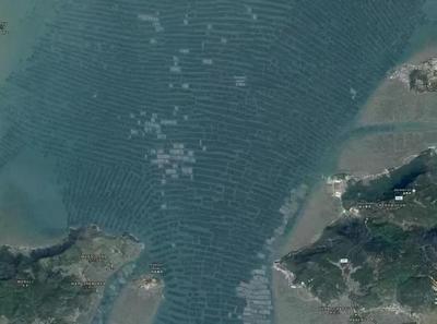 從稻田到海疆 袁隆平與海水養(yǎng)殖技術(shù)研發(fā)者的雙重饋贈(zèng)