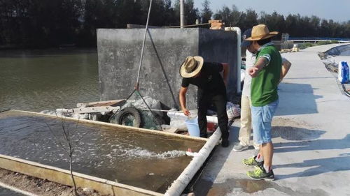 “共享池塘”引領(lǐng)海水養(yǎng)殖革新，天敵共存黑科技入選省級(jí)重點(diǎn)研發(fā)計(jì)劃