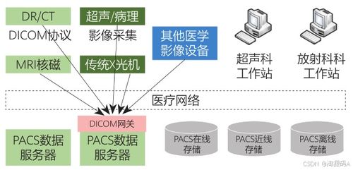 數字化醫學影像系統PACS 源碼解析、影像存儲與傳輸及三維重建功能