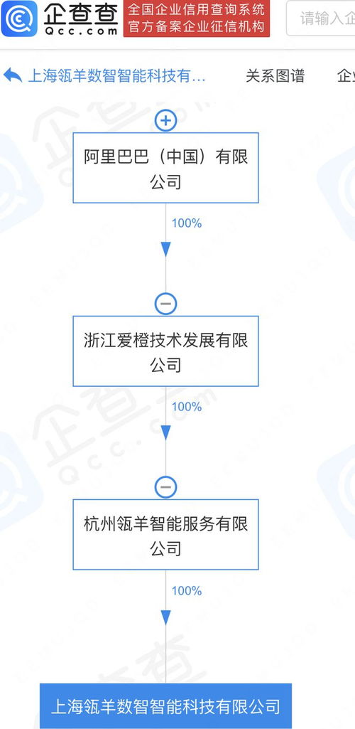 阿里巴巴加碼數智科技 瓴羊數智科技公司在滬成立，深耕數據處理與存儲服務新藍海